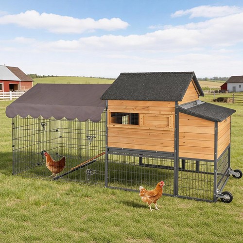 Large chicken coop with - coop, run